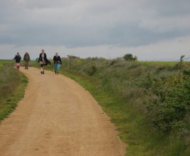 Meseta Photo - Fitzgerald